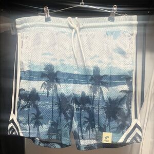 No Boundaries Blue and White Palm Swim Shorts